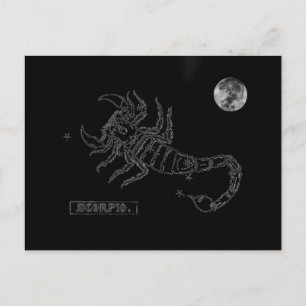 Scorpio Postcard