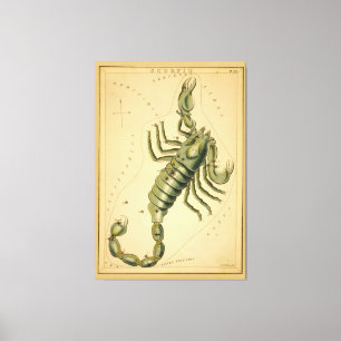 Scorpio (Scorpion) Vintage Sign of Zodiac Image