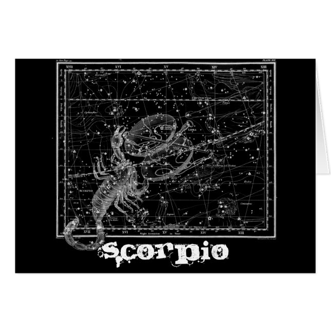 Scorpio, the Scorpion (Front Horizontal)