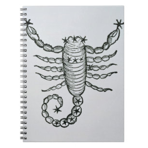 Scorpio (the Scorpion) an illustration from the 'P Notebook