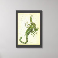 Scorpio, Vintage Constellation Urania's Mirror