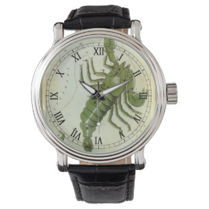 Scorpio, Vintage Constellation Urania's Mirror Watch