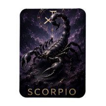 Scorpio Zodiac Scorpion Celestial Astrology Symbol