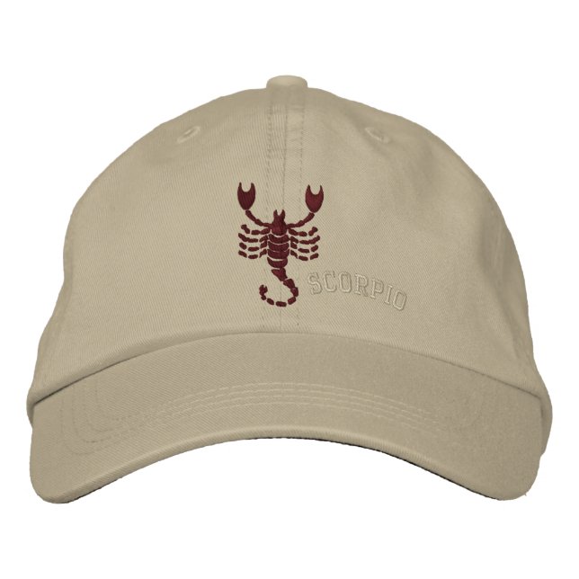 Scorpio Zodiac Sign Embroidered October 23 -Nov 21 Embroidered Hat (Front)