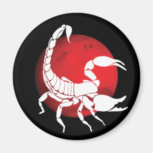 Scorpio Zodiac Sign Magnet