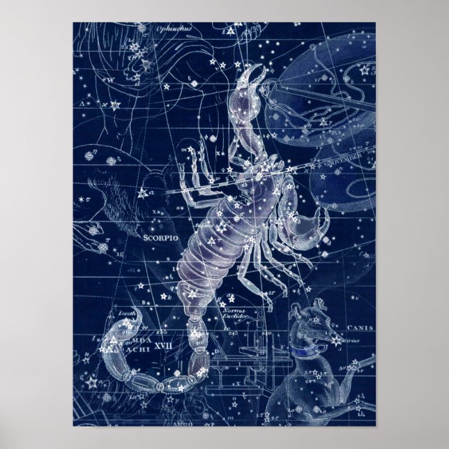 Scorpio Zodiac Sign Vintage Illustration (Front)