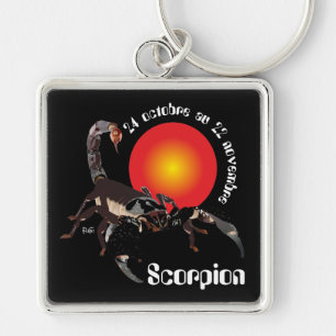 Scorpion 24 octobre au 22 novembre Porte-clés Key Ring