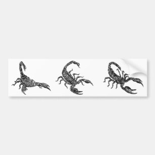 Scorpion Bumper Sticker