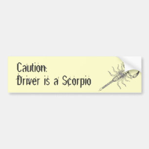 Scorpion Bumper Sticker