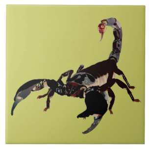 scorpion ceramics photo tile