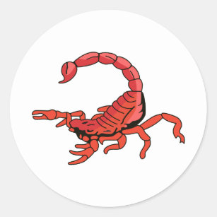  Scorpion Stickers Labels Zazzle UK