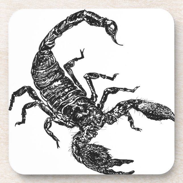 Scorpion Coaster (Front)