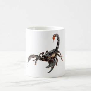 Scorpion. Coffee Mug