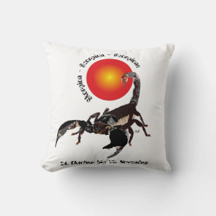 scorpion cushion