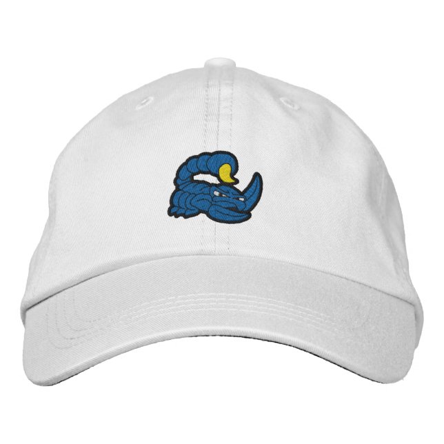 Scorpion Embroidered Hat (Front)