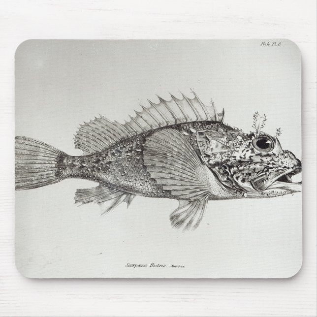Scorpion Fish Mouse Mat (Front)