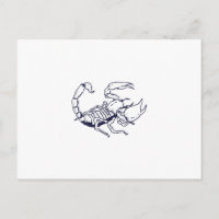 Scorpion Hand Drawn Outline