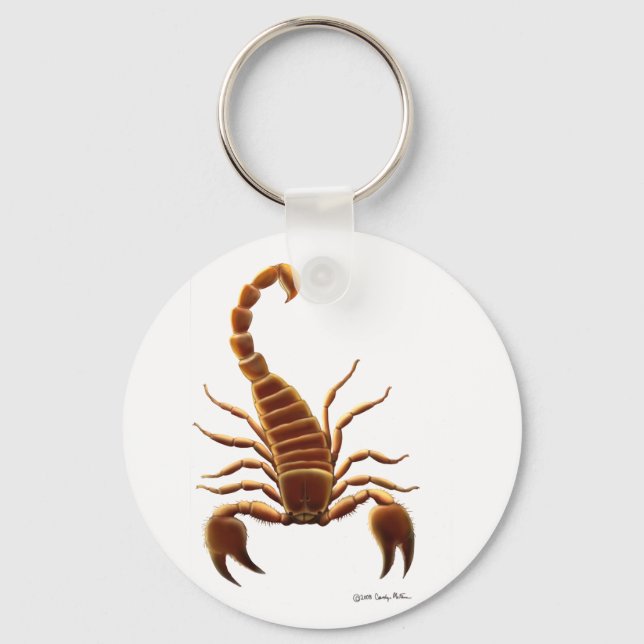 Scorpion Key Ring (Front)