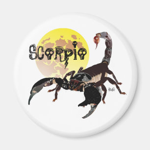 scorpion magnet