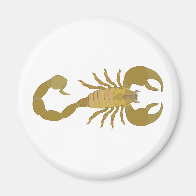 Scorpion Magnet (Front)