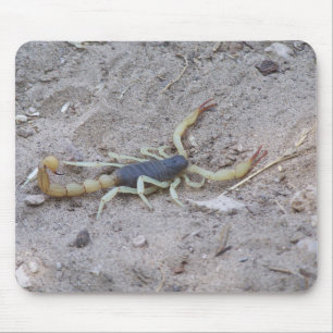 Scorpion Mouse Mat