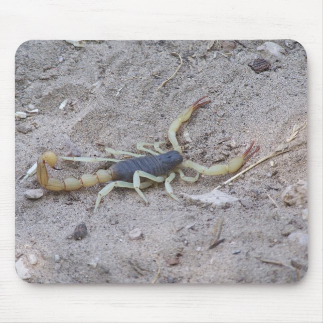 Scorpion Mouse Mat (Front)
