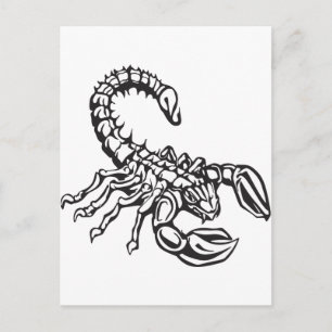 Scorpion Postcard