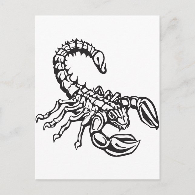 Scorpion Postcard (Front)