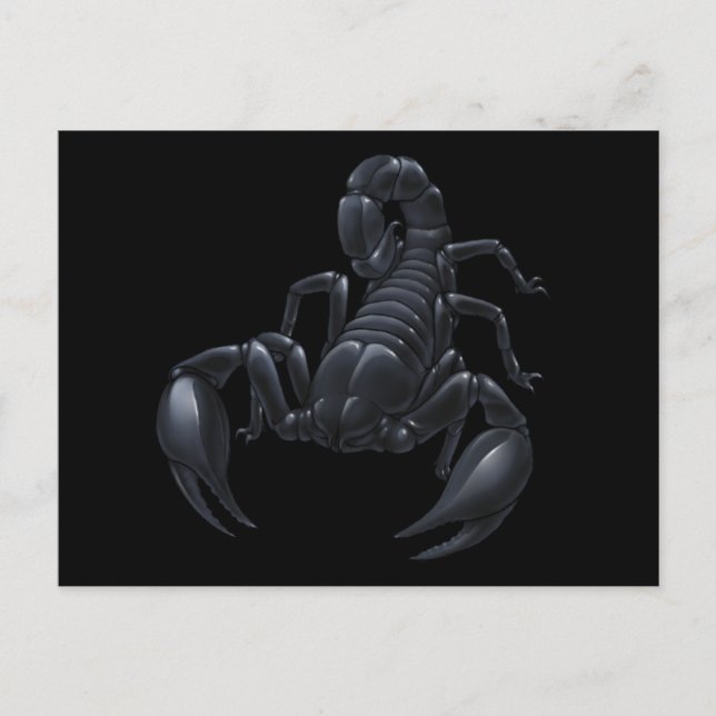 Scorpion Postcard (Front)