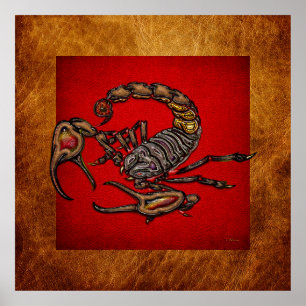 Scorpion Poster