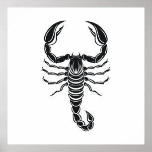 Scorpion Poster