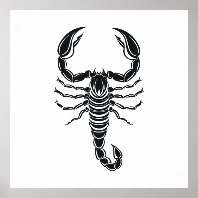 Scorpion Poster (Front)
