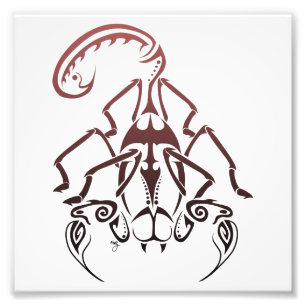 Scorpion Print