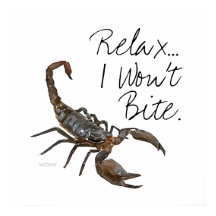 Scorpion "Relax... I Won't Bite" Poster