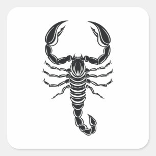 Scorpion Square Sticker