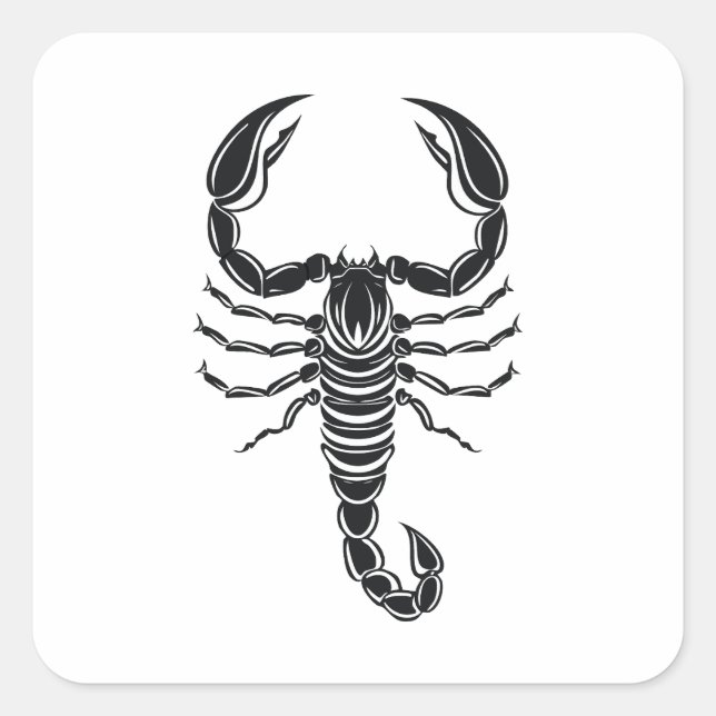 Scorpion Square Sticker (Front)