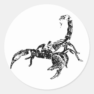  Scorpion Stickers Labels Zazzle UK