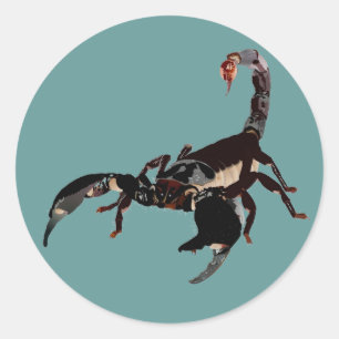 scorpion sticker