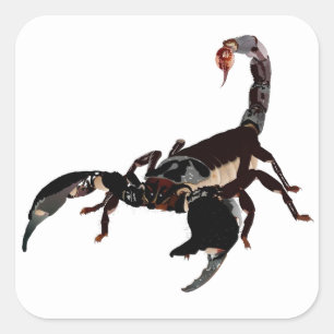 scorpion sticker