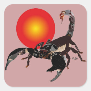 scorpion sticker