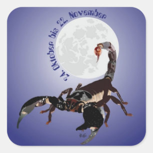 scorpion sticker
