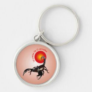 Scorpiun 24 oct. fin 22 nov. Schlüsselanhänger Key Ring