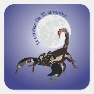Scorpiun 24 october fin 22 november Aufkleber Square Sticker