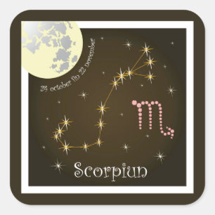 Scorpiun 24 october fin 22 november Aufkleber Square Sticker