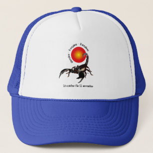 Scorpiun 24 october fin 22 november Cap