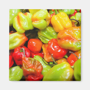 Scotch Bonnet Magnet