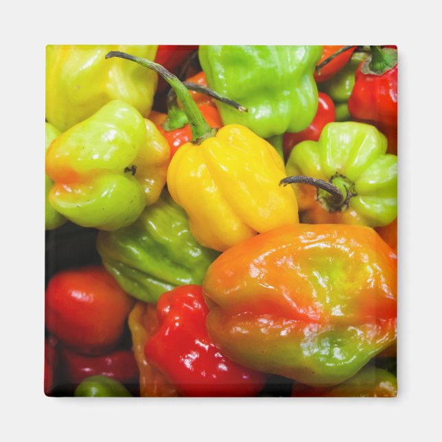 Scotch Bonnet Magnet (Front)