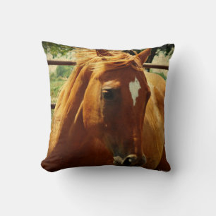 Scotch Cushion