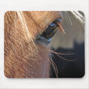 Scotch Extreme Closeup Mouse Mat