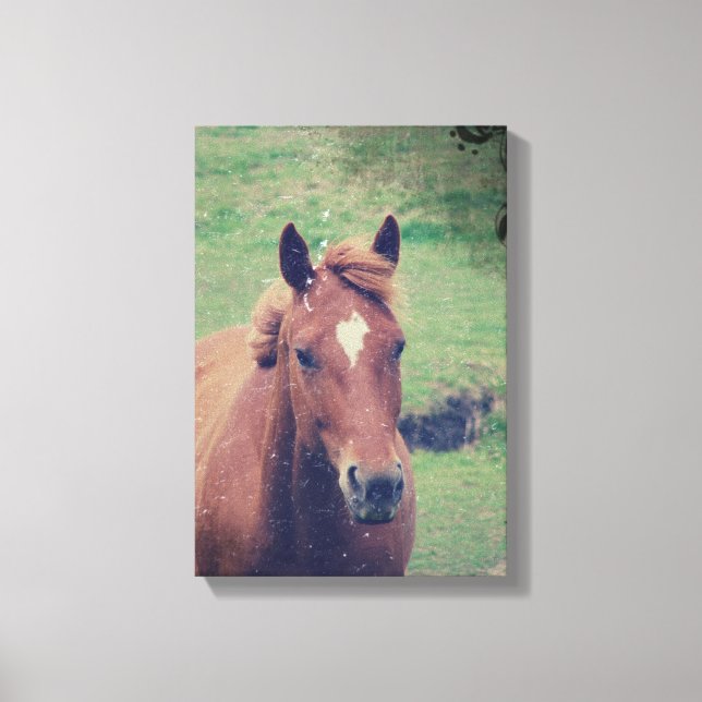 Scotch Grunge Canvas Print (Front)